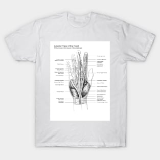 Black and White Hand Dissection Illustration T-Shirt